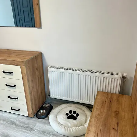 Apartment Vio Yaremche